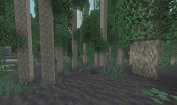 Cypress in the Bog