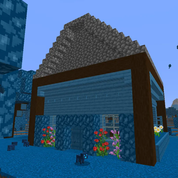 The new house structure