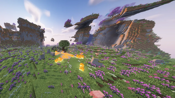 Flower field