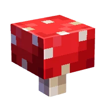 PvP Pack