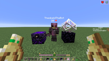 Pack Showcase