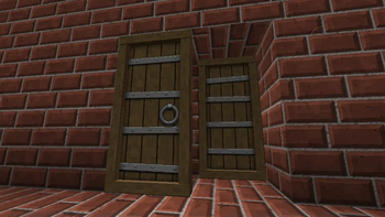 Double Sides Doors