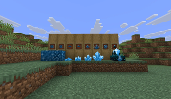 Showcase