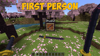 first person