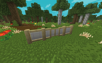 Birch Fence