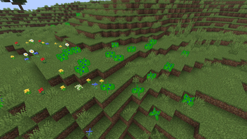 Plants