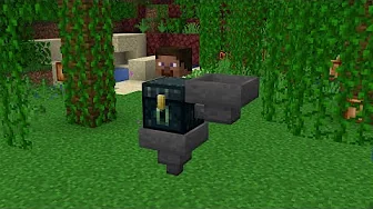 Hoppers for Ender Chests