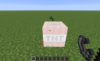 TNT Primed (lit) with a flint and steel