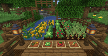 Farmer's Delight
