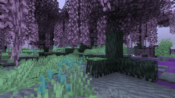 Landscape (Yagroot Swamp)