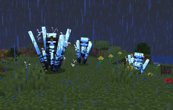 Thunder