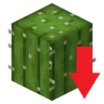 仙人掌沒那麼強 [CINTS]Cactus Is Not That Strong