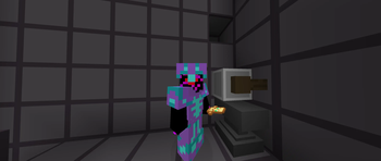 What it looks like ingame