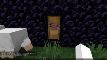 Ell built me a house!