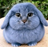 BlueHare