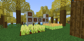  Arroz y Maiz - 2.0.0