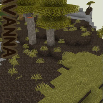 Savanna