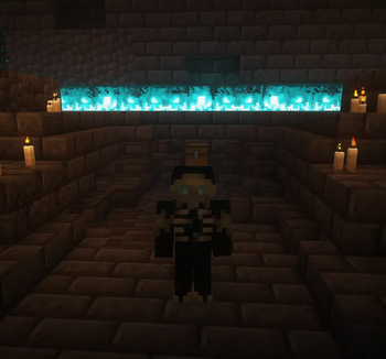 In-Game Skin