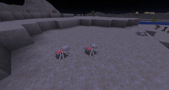 Sand Spider