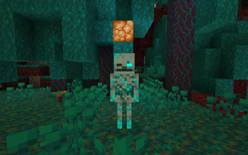 Warped Skeleton