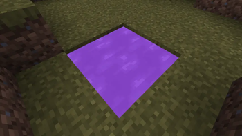 Beetroot Fluid