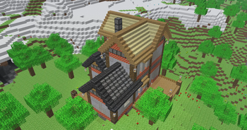 A player-made house