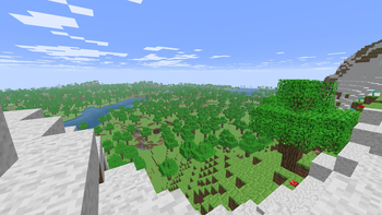 View of a forest from the top of a mountain