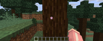 In-game look