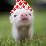 Pigifyer