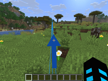 In-Game "road"