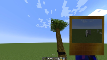 Photo Screen — screenshot 2