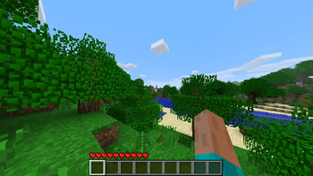 High View Model FOV