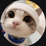 SwiftMC_