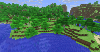 Classic Forest