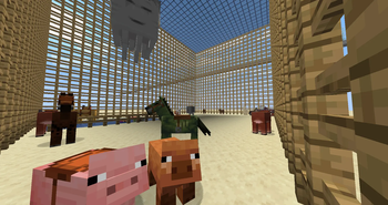 My test cage