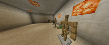 Weapons Display 2