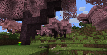 A Cherry Grove biome in PACP 1.8.1.