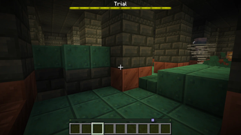 Trial