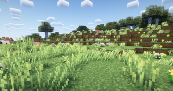 Grass