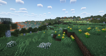 Grass