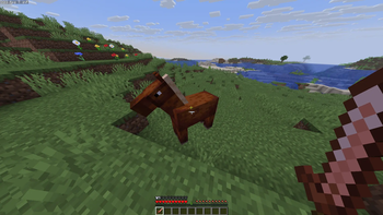 Yellow crosshair aimed at horse.
