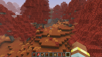 Maple Forest