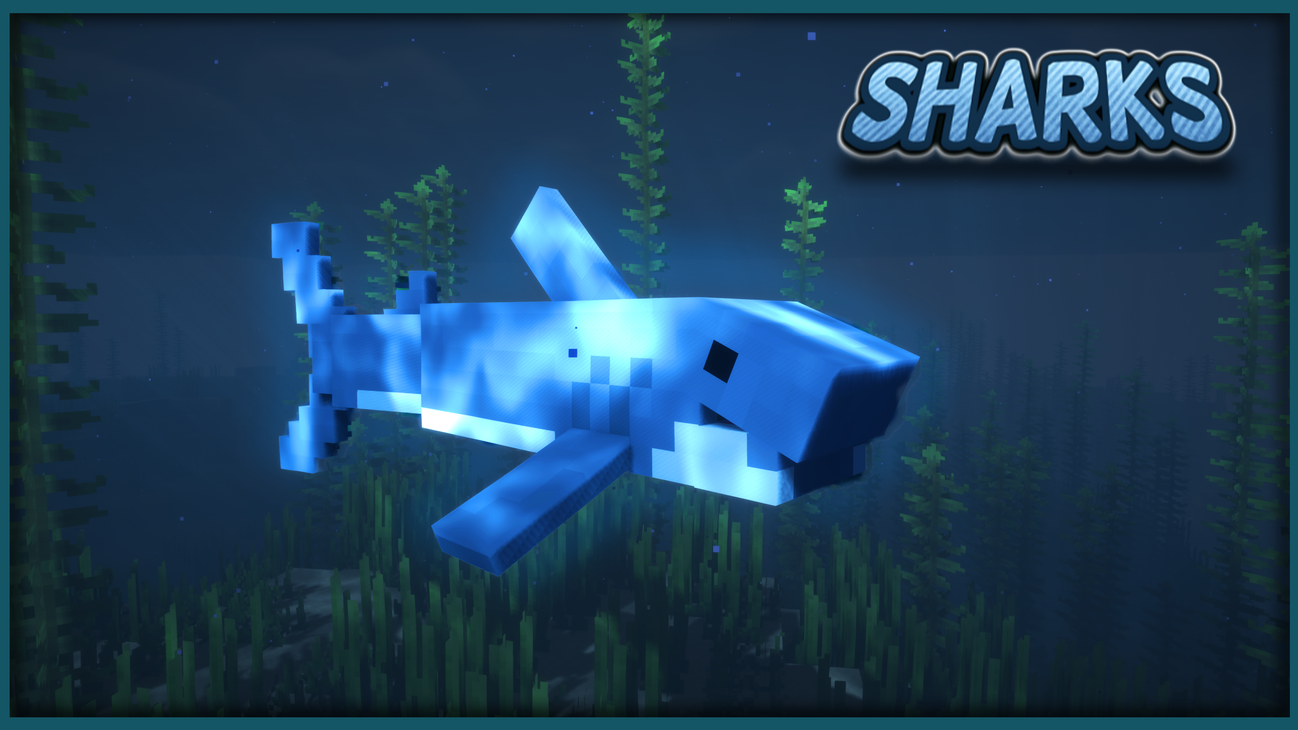 Shark Showcase