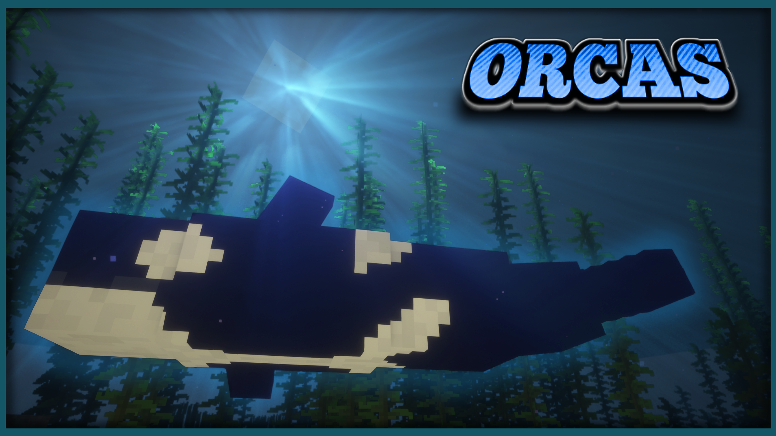 Orca Showcase