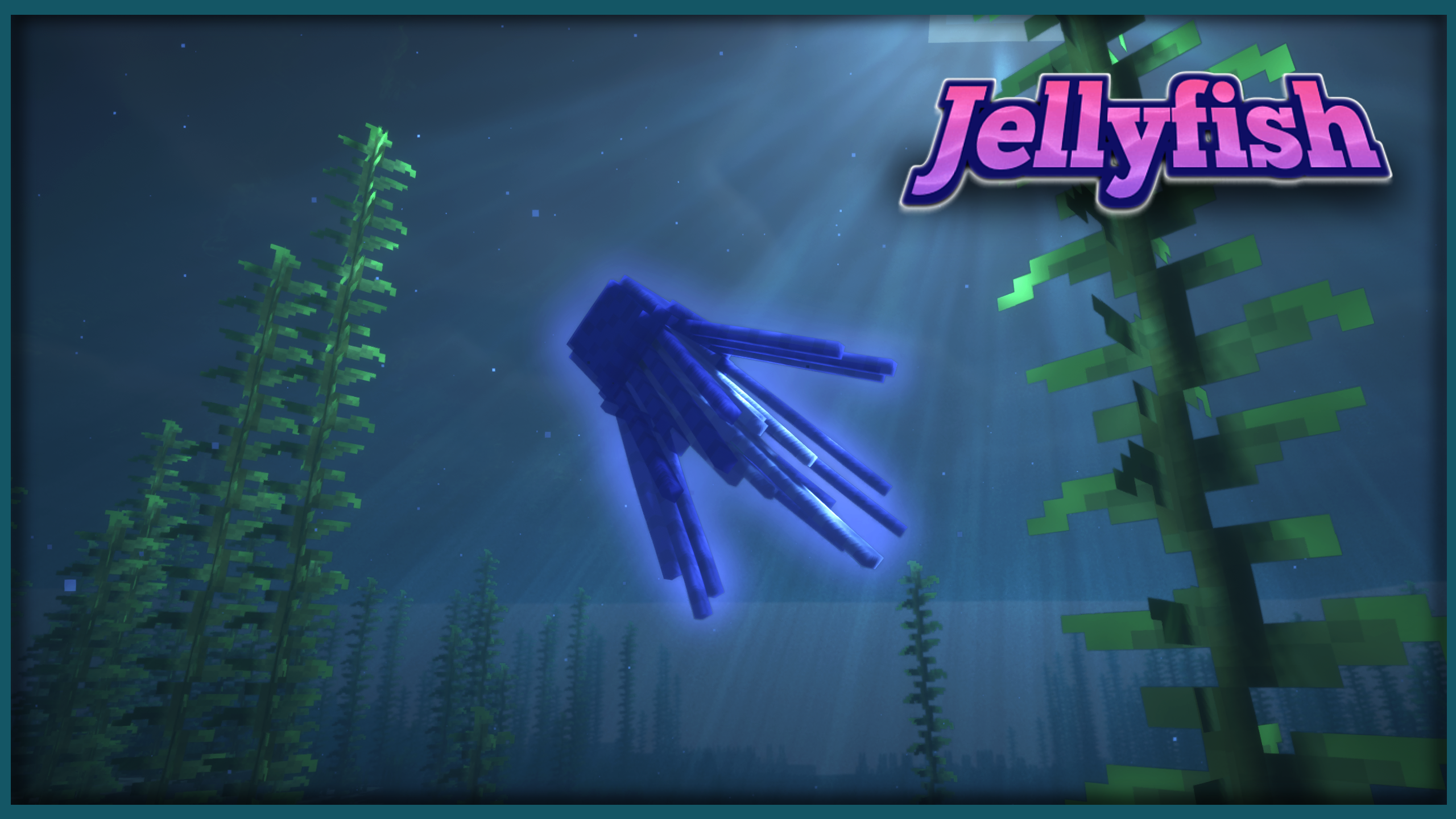 Box Jellyfish Showcase