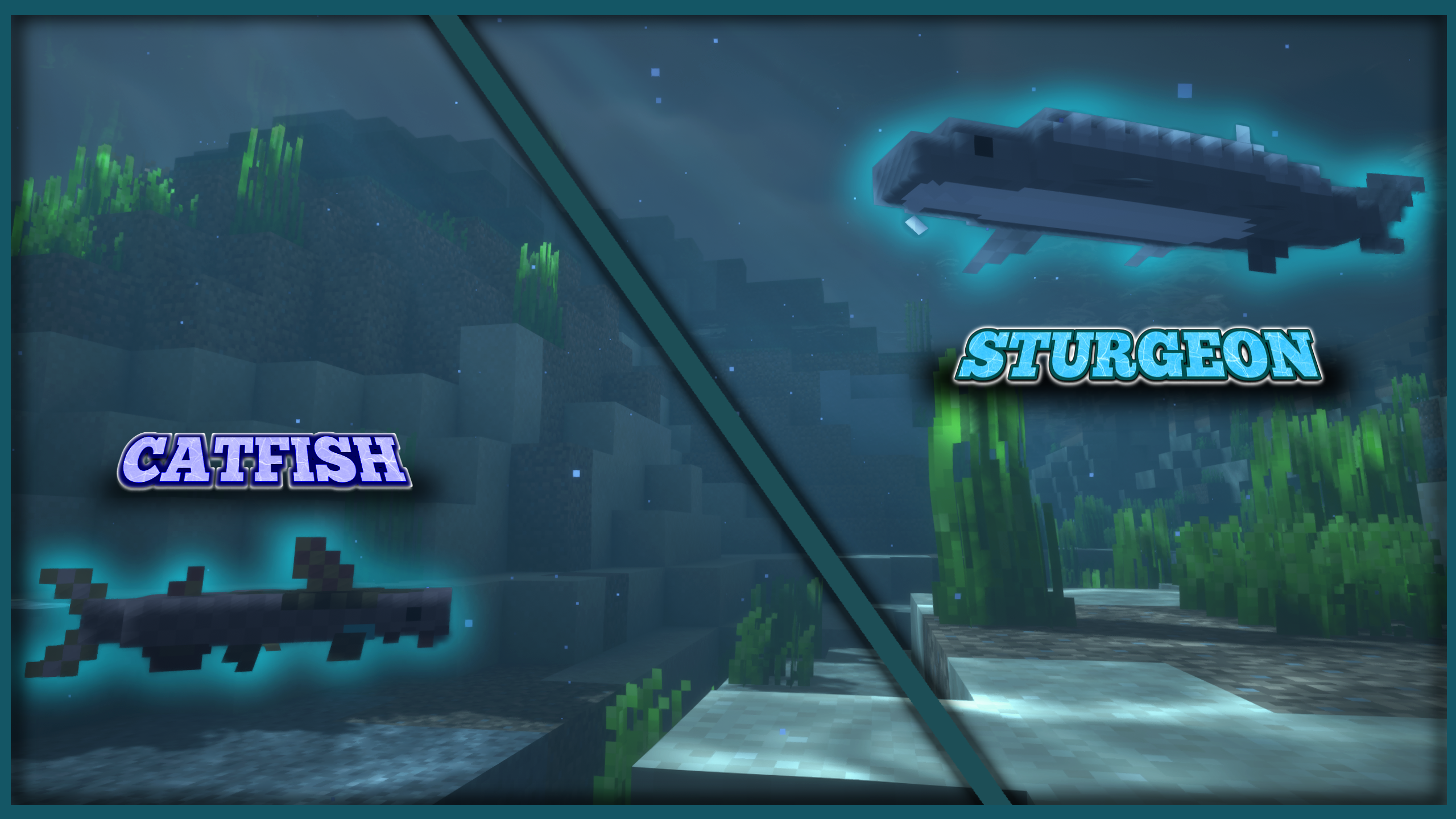 Catfish and Sturgeon