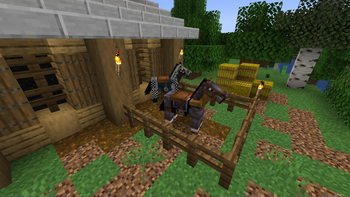 Horse Armors