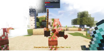 Damage Plugin