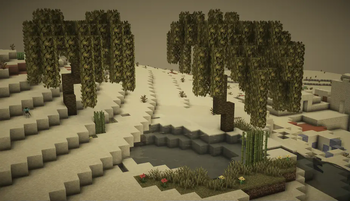 Oasis