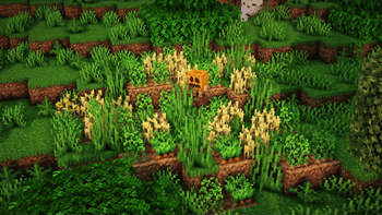 Forgotten garden